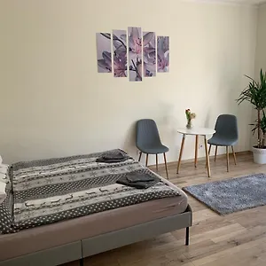 Apartman Világos, Kellemes Lakás, Jó Közlekedéssel, Budapest
